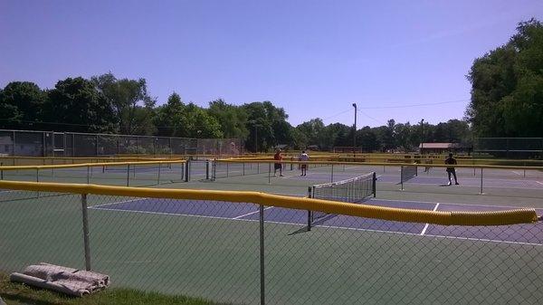 This park is Pickleball central!