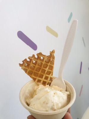 Astro Craft Ice Cream-Lutz