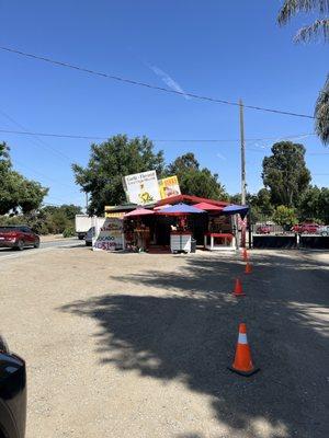 Melesio S. Fresh Fruit