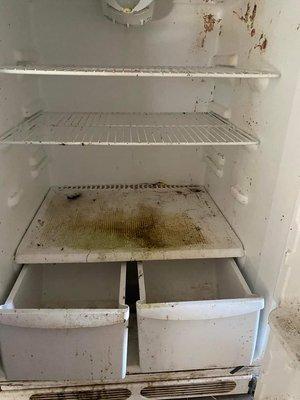 KC Cleaning & Handyman Service