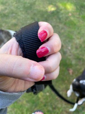 Lost a new nail in less than a week