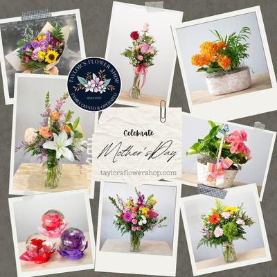 Taylor's Flower Shop