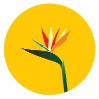 Paradise Window & Gutter