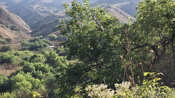 Chino Hills State Park Interpretive Association