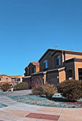 Affordable weed spray