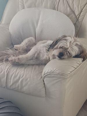 Life Elevated Psychiatry