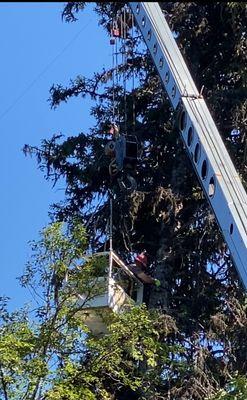 Paul’s Tree Service