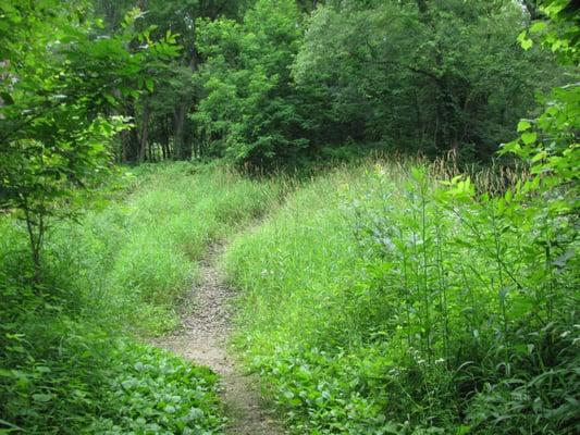 McGilvray Seven Bridges Road - Van Loon Wildlife Area