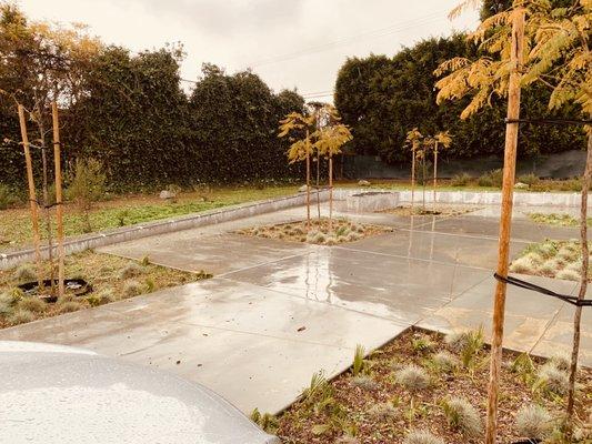 Saturn Street Elementary School