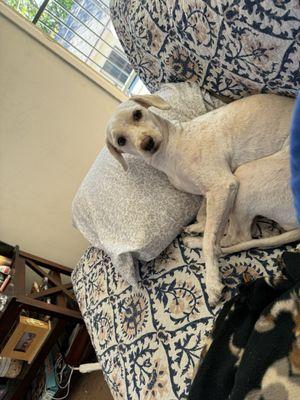 This how she looks after