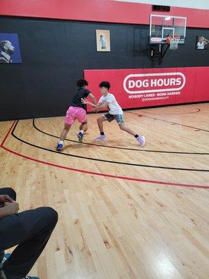 Dog Hours Basketball Training