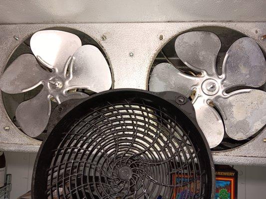 (After) Walk in cooler preventative maintenance.