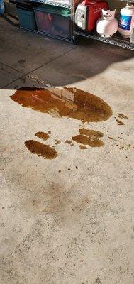 Bruce's Specialty Auto