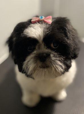 This little fireball was to fun. She got the works!