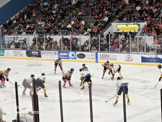 Carolina Thunderbirds