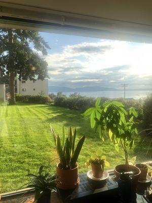 South Hill Apartments