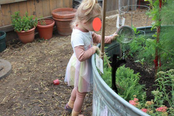 Watering the garden at dig. They plant and grow food and plants for pollinators