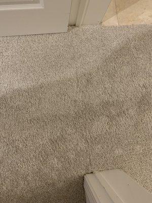 Abbey Carpet Hardwood Tilz