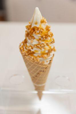 Fropical Frozen Yogurt