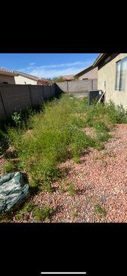 Jesus Trujillo Landscaping