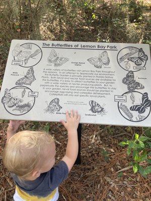 Lemon Bay Park