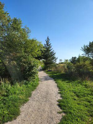 Capisic Pond and Brook Trail