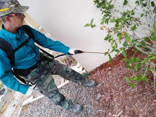 Quackenbush Quality Pest & Termite Services