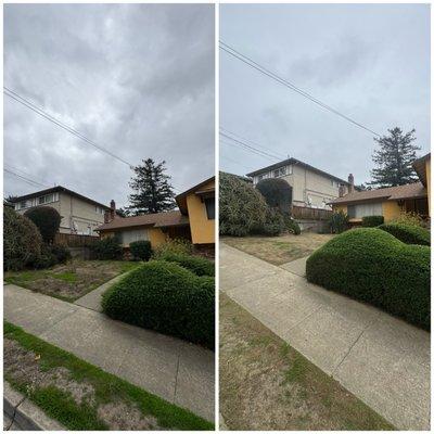 Eco Elements Landscaping