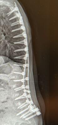 I'm disabled, but Mike Lessley and Family Law Group is a real person and a lawyer