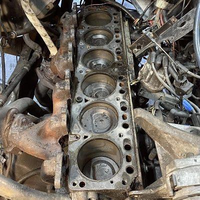 Finlayson-Gumbs Ventures