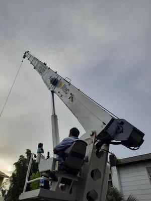 Expert Tree Cutting & Trimming