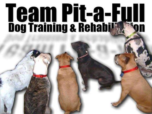 Team Pit-a-Full Dog Training & Rehabilitation
