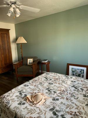 A-Plus Custom Painting