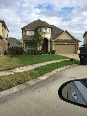 New St Augustine sod