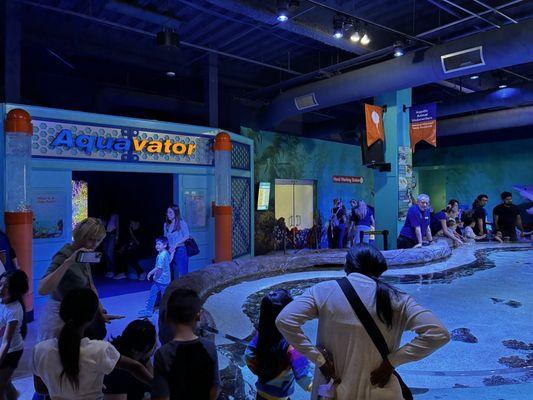 Discovery Cube Orange County