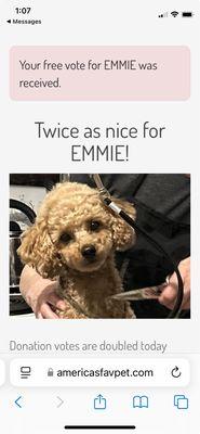 At Your Home Grooming