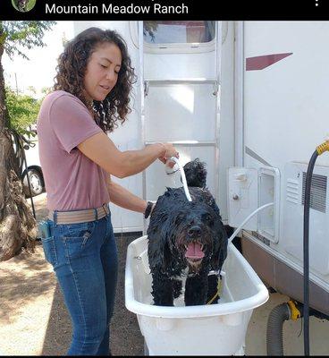 Dog Gone Great Grooming & Nails