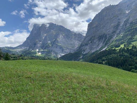 Doxa Counseling Collective