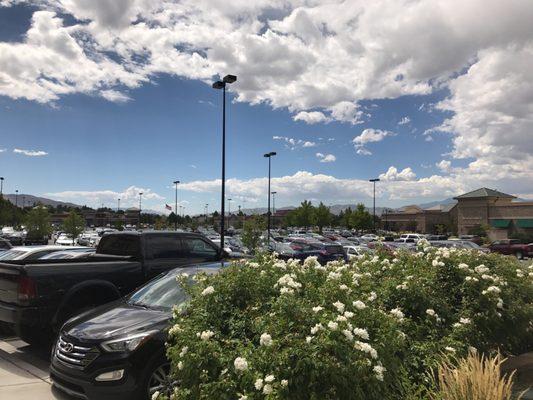 The Commons at South Towne