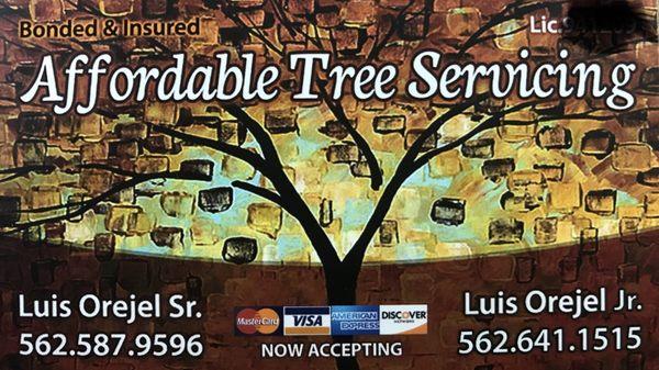 Affordable Tree Servicing