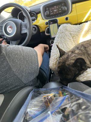 Snacks for the 6 hour road trip