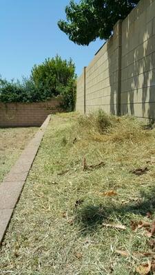 You call this Value?