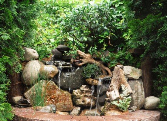 Michigan Pond and Plant