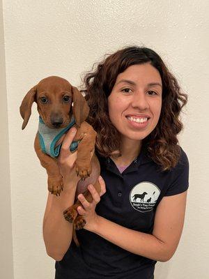 Steph's Tiny Friends