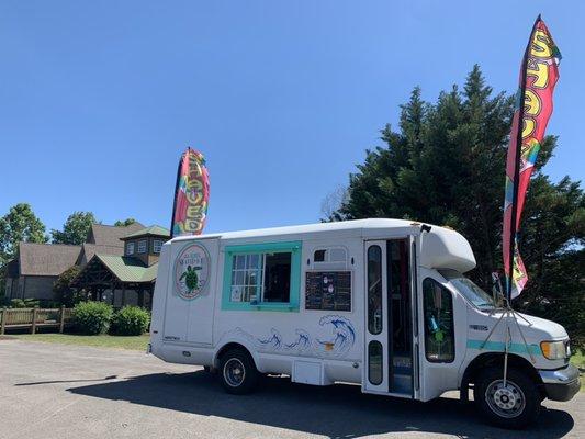 Sea Turtle Shaved Ice