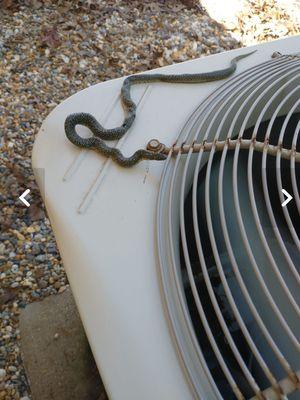 Alltemp Heating And Cooling