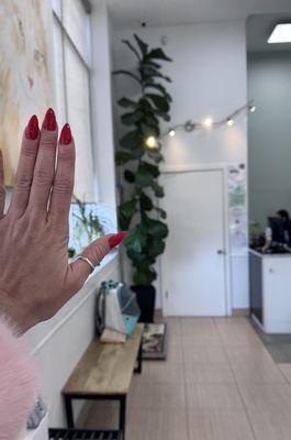 Park Slope Veterinary Center