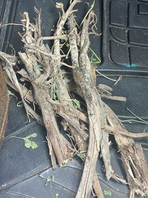 Branches in the bales of unicorn alfalfa
