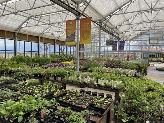 Canyon Creek Nursery