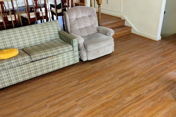 Sun's Carpet and Floors